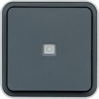  cubyko VV tmoin saillie gris 