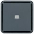  cubyko BP 1O/1F  voyant gris 