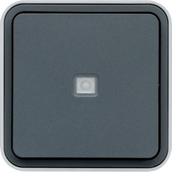  cubyko BP 1O/1F  voyant gris 